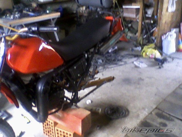 Photo 1403006
