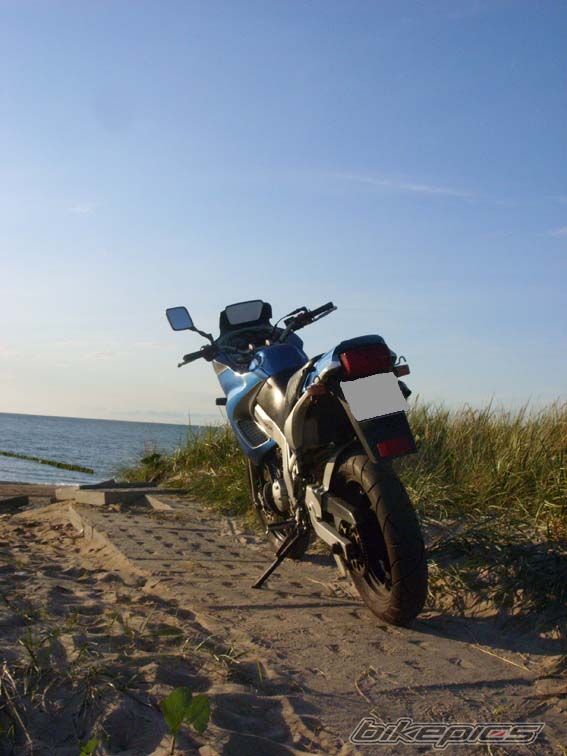 Photo 1403022