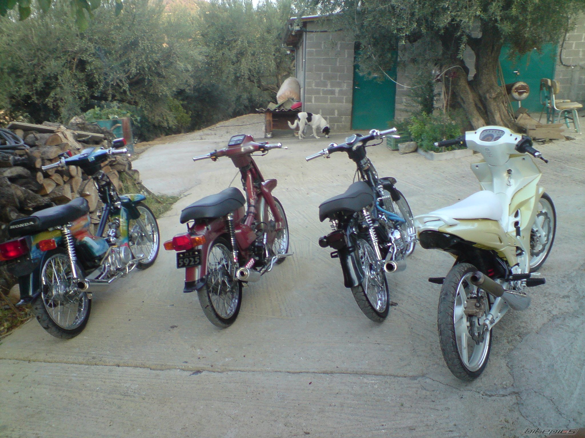 Photo 1403094