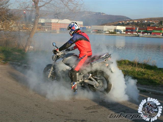 Photo 1403203