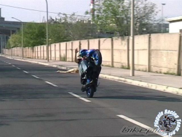 Photo 1403225