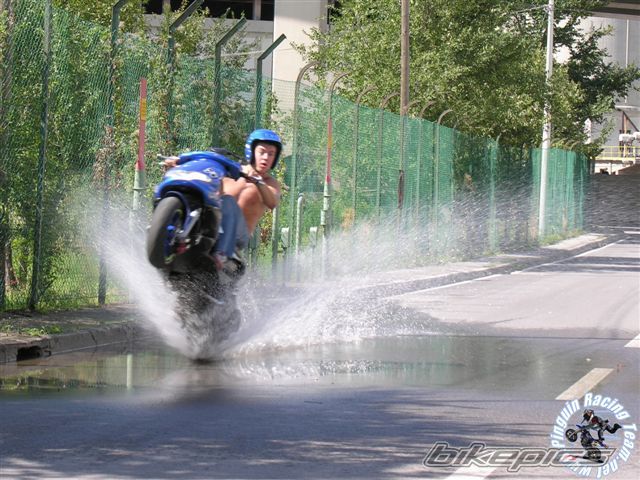 Photo 1403241