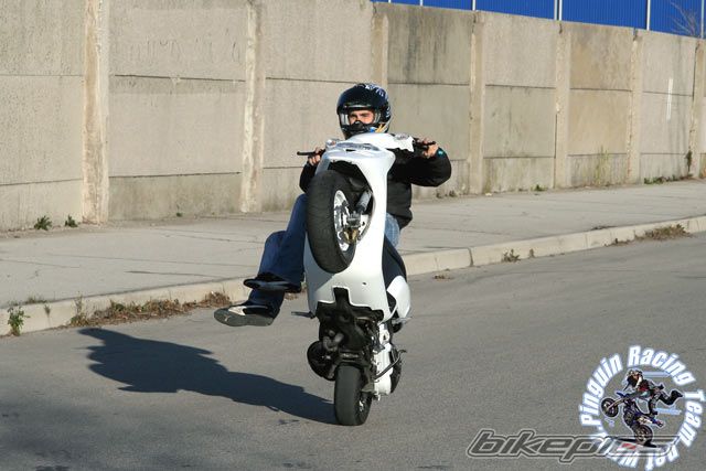 Photo 1403255