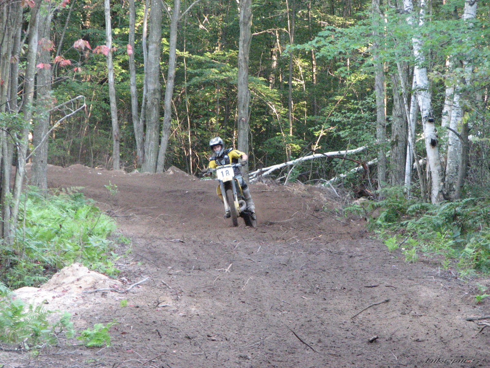 Photo 1403402