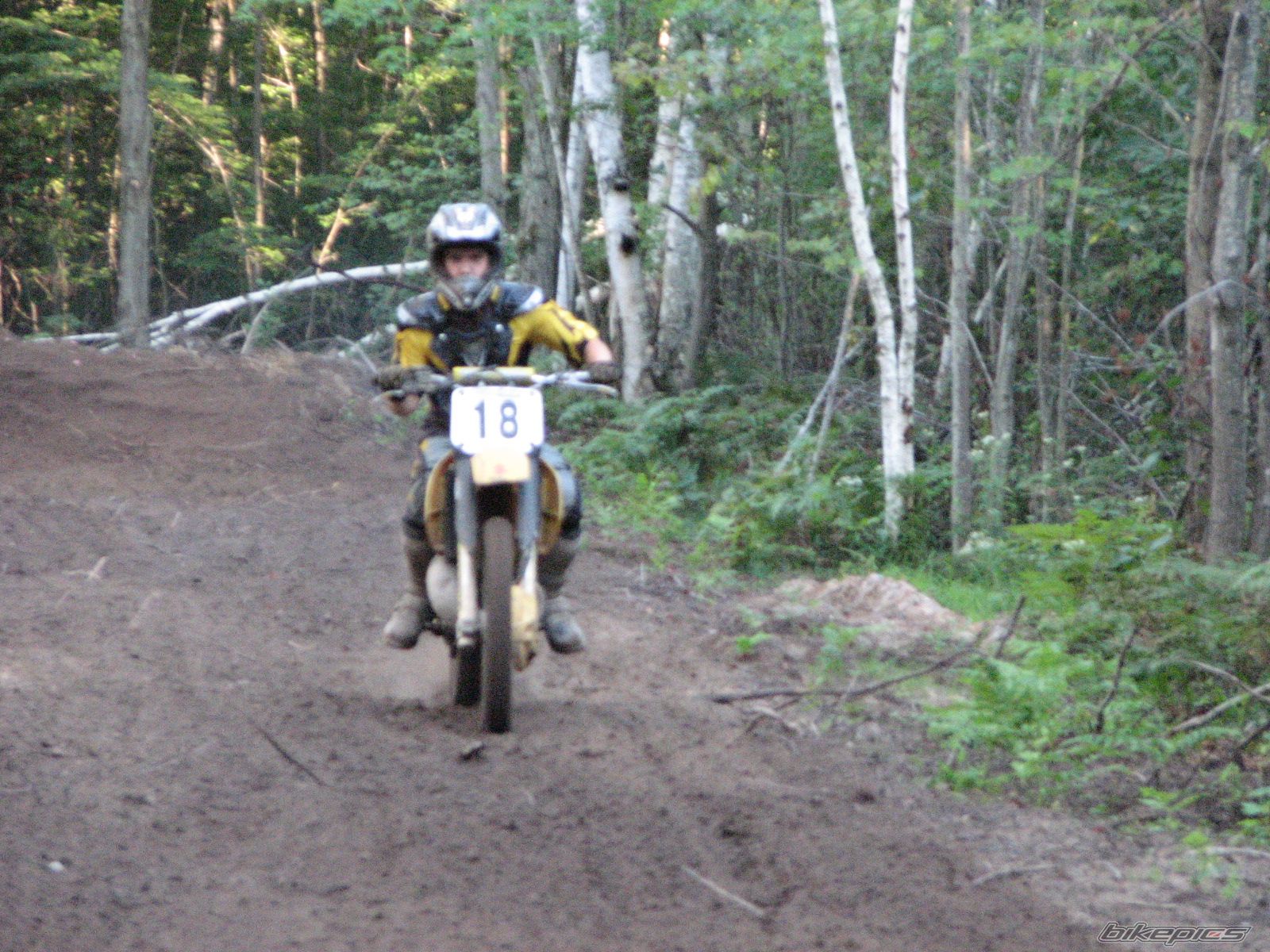 Photo 1403404
