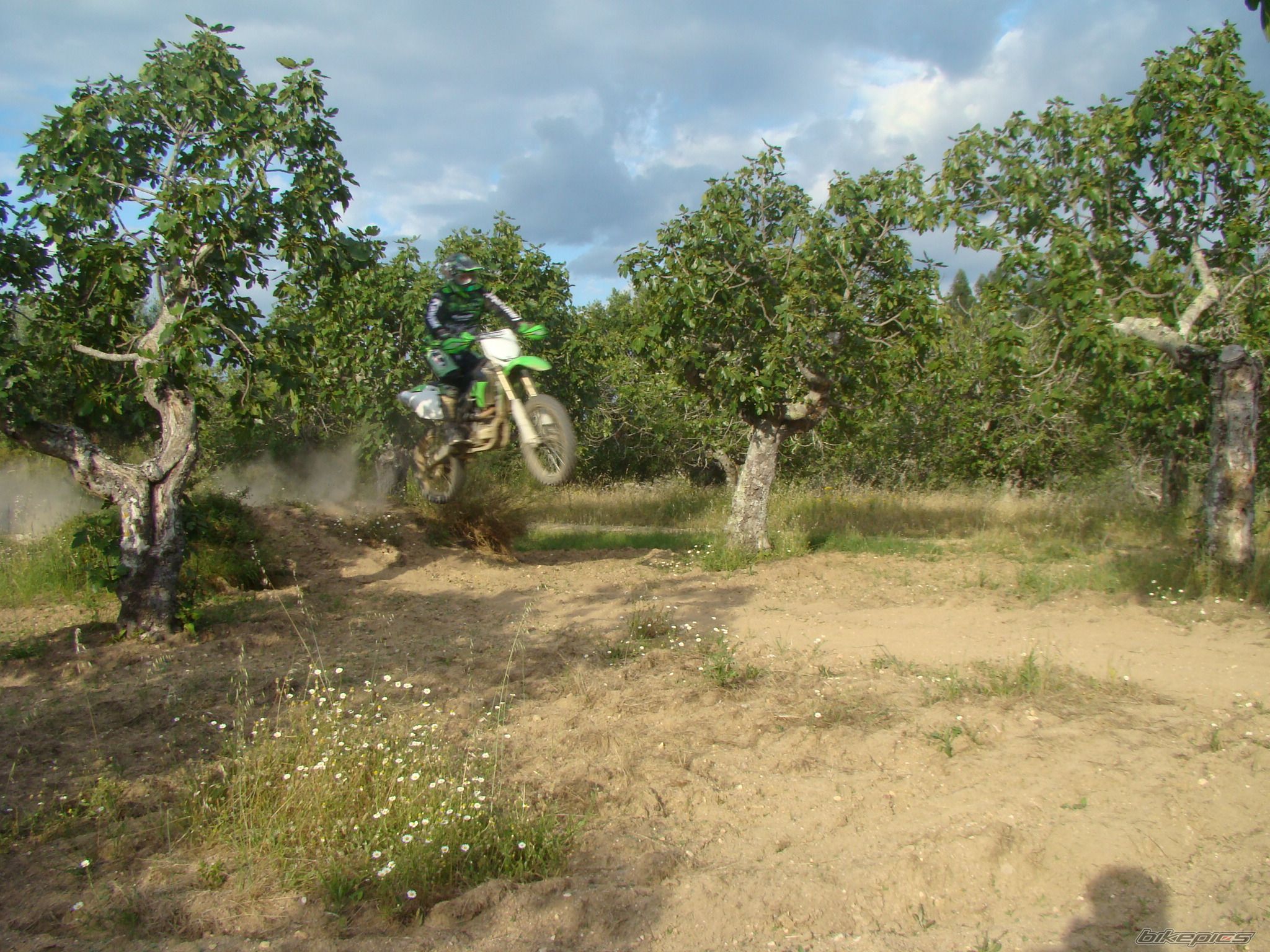Photo 1403409
