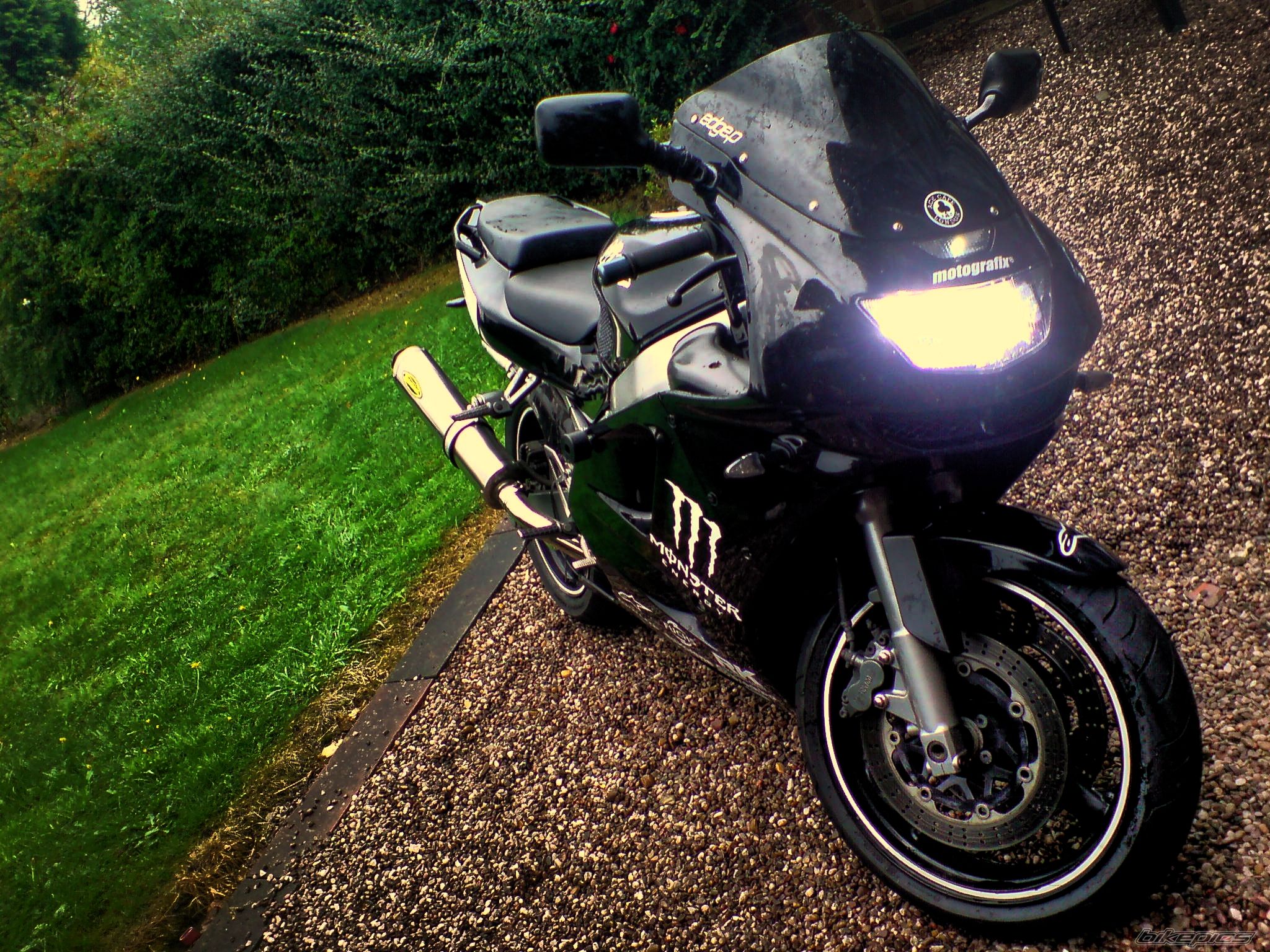 Photo 1403430