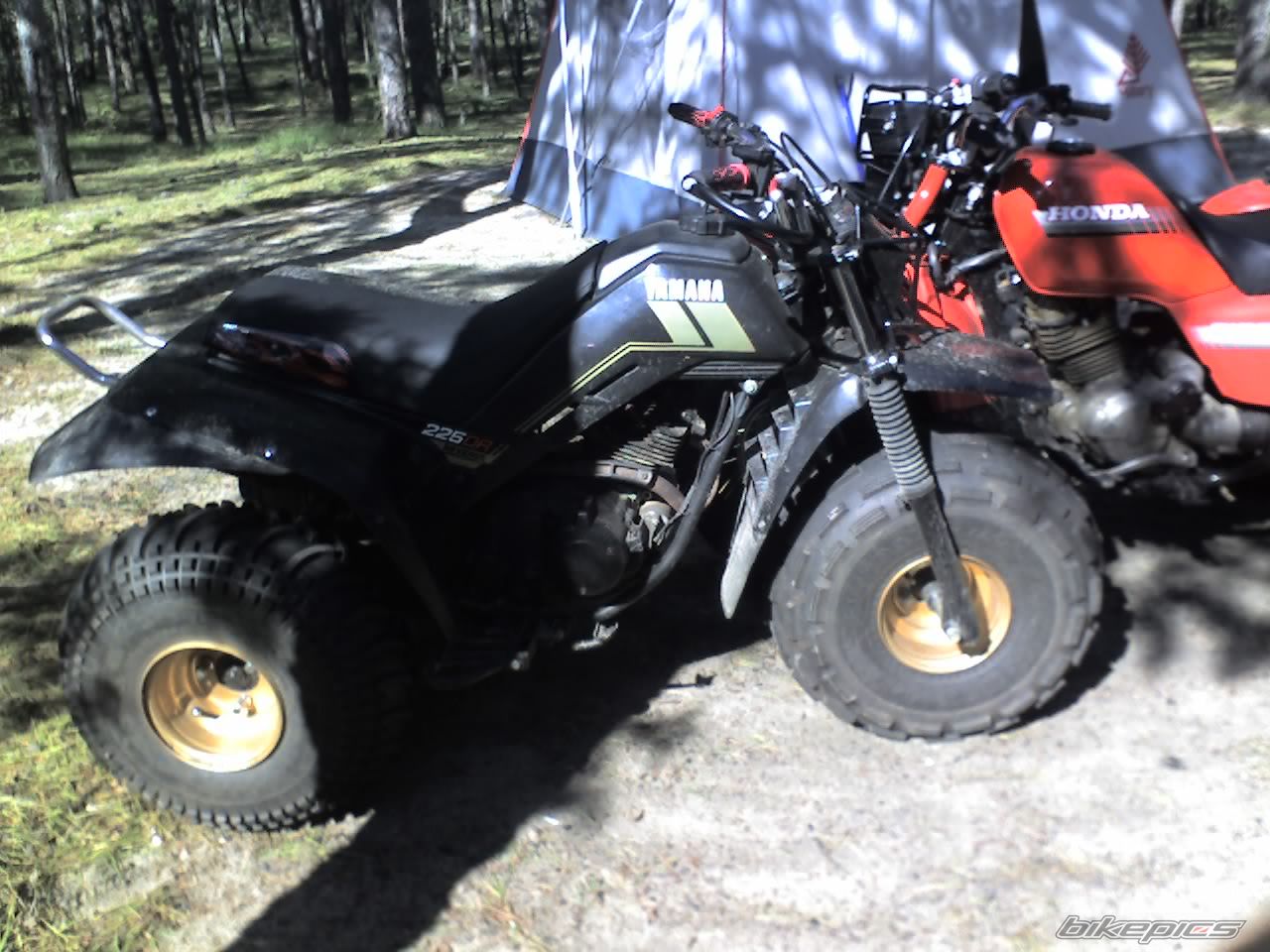Bike Photo 1403512