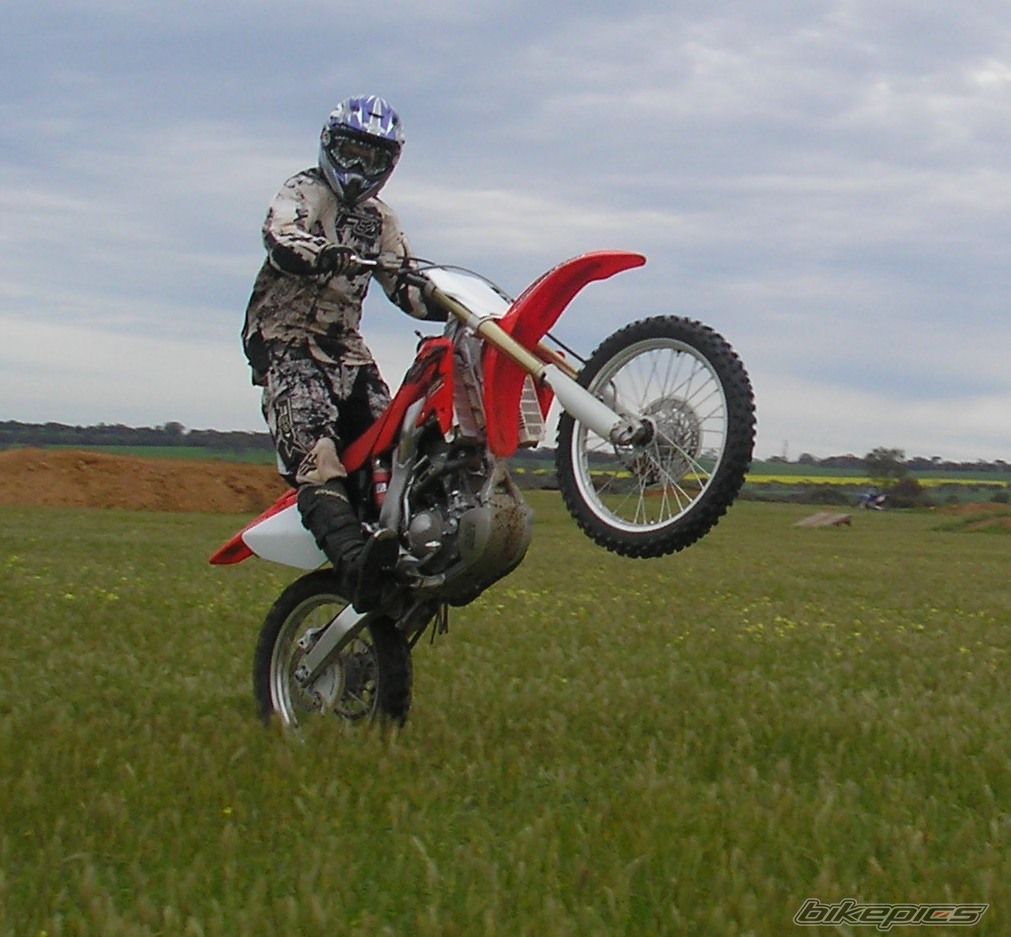 Photo 1403634