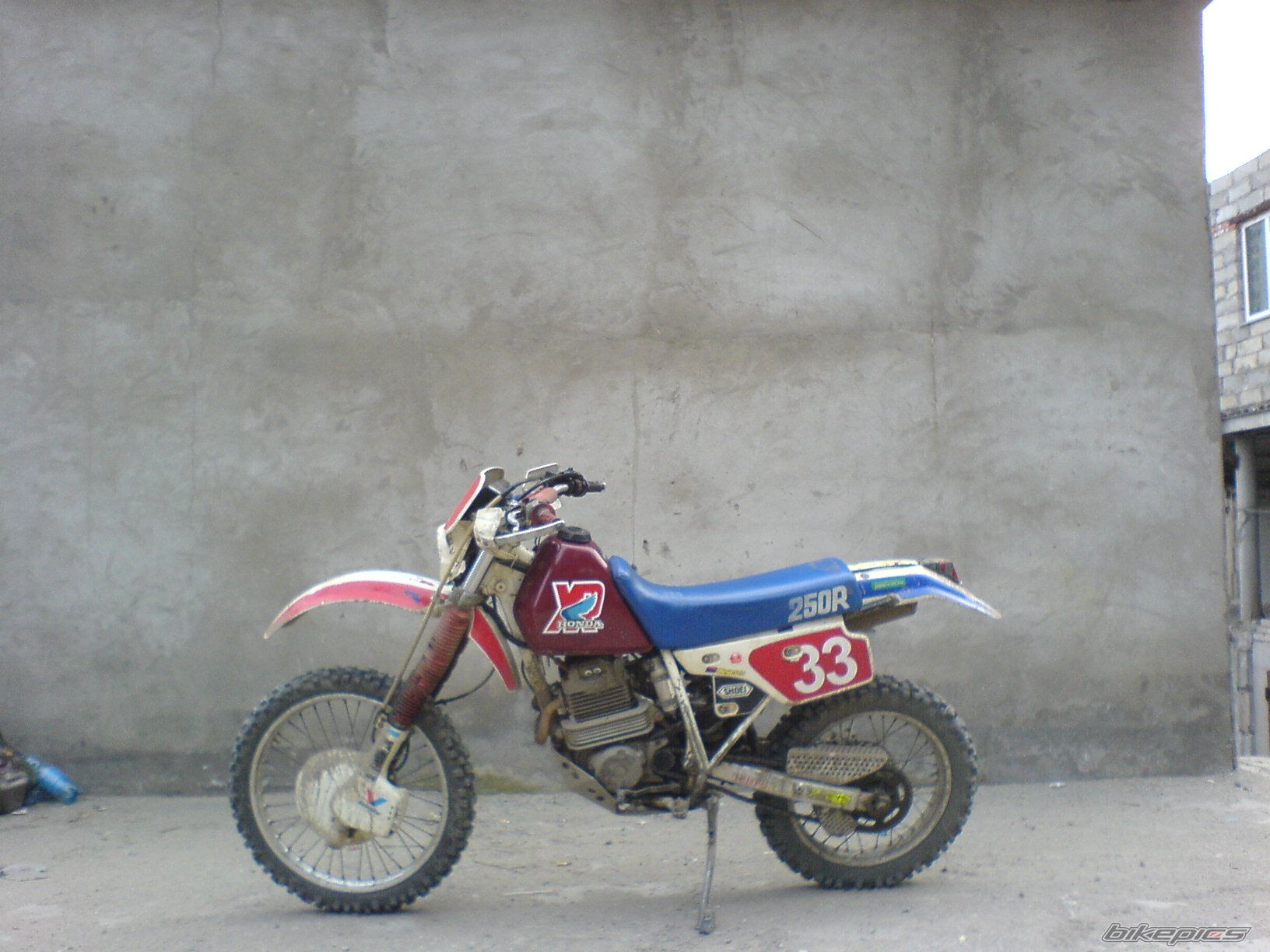 Photo 1403710