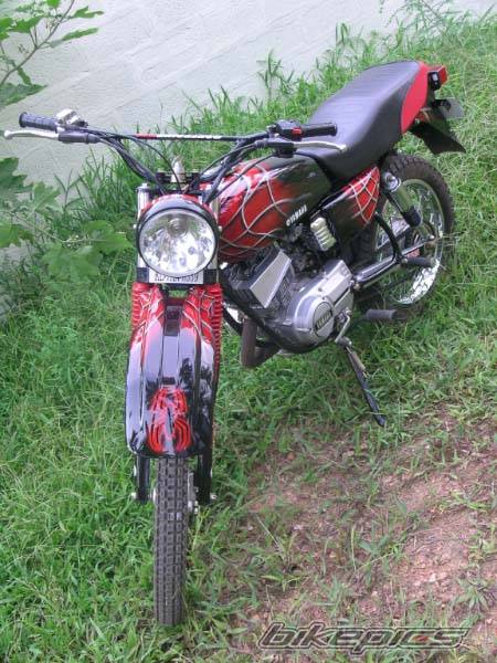 Photo 140374
