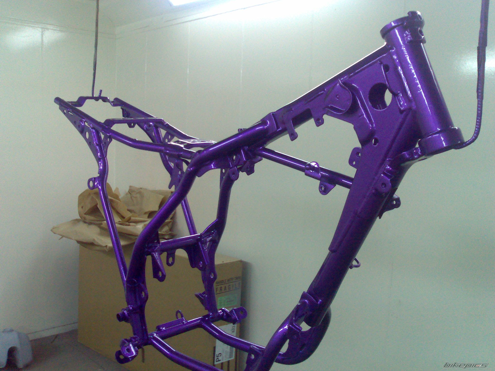 Photo 1403774