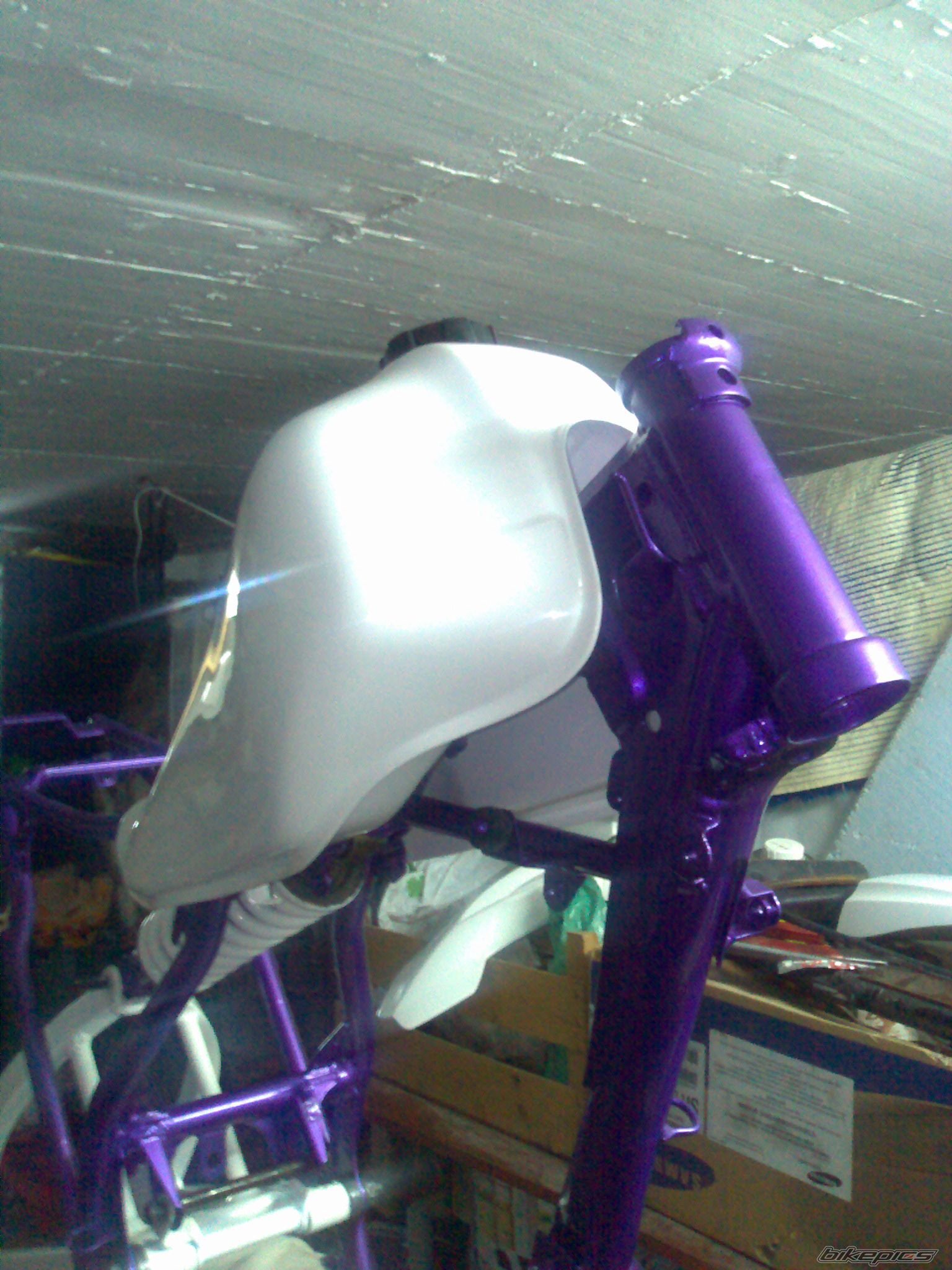 Photo 1403780