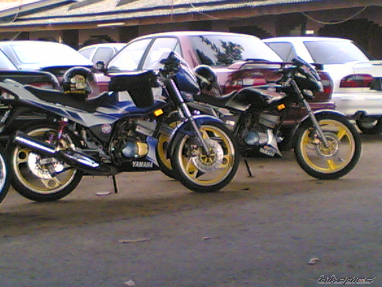 Photo 1403813