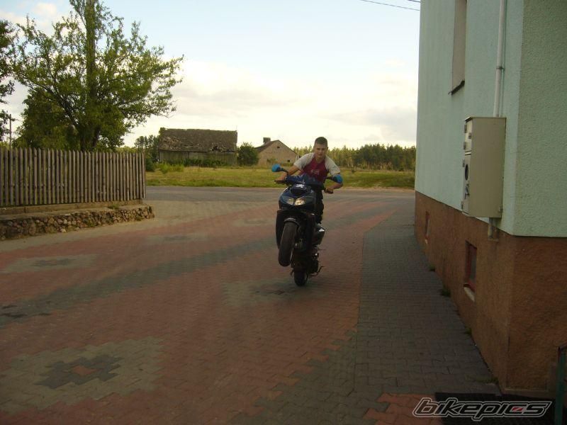 Photo 1403839