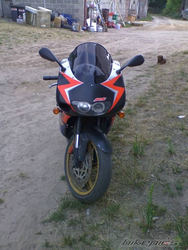 Photo 1403842