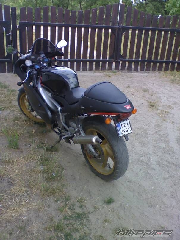 Photo 1403848