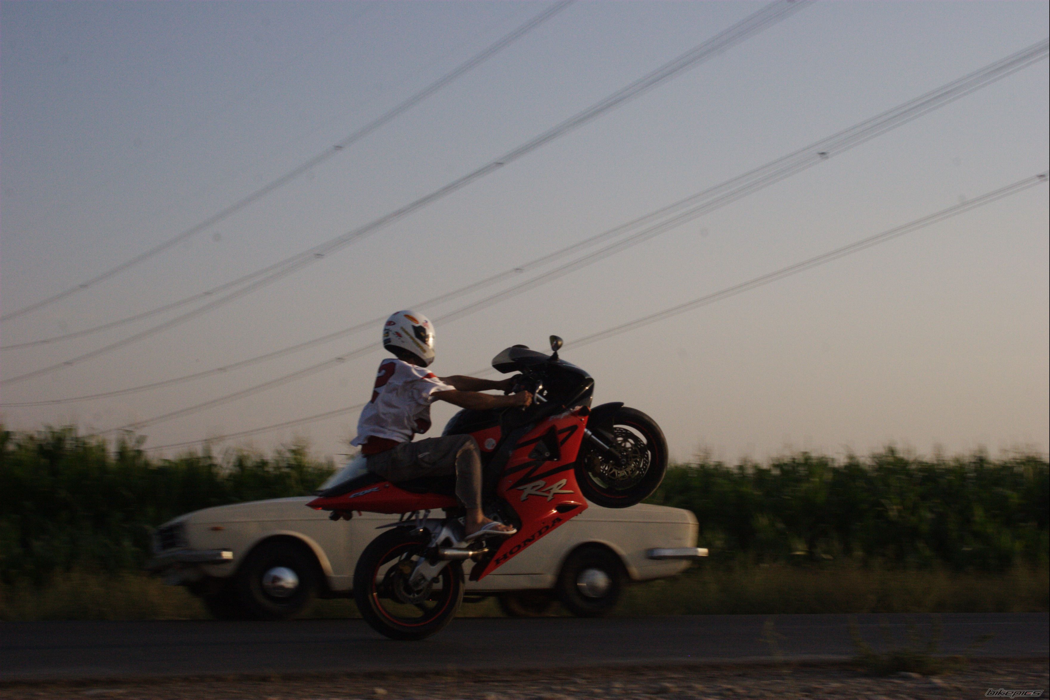 Photo 1403849