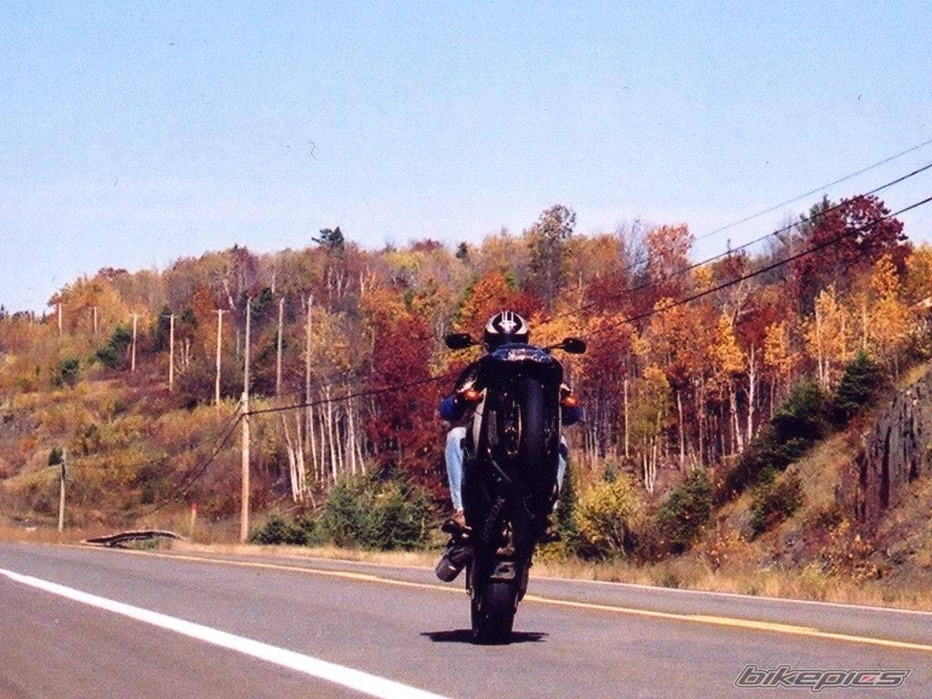 Bike Photo 14039