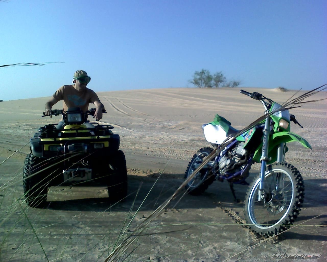 Photo 1403967