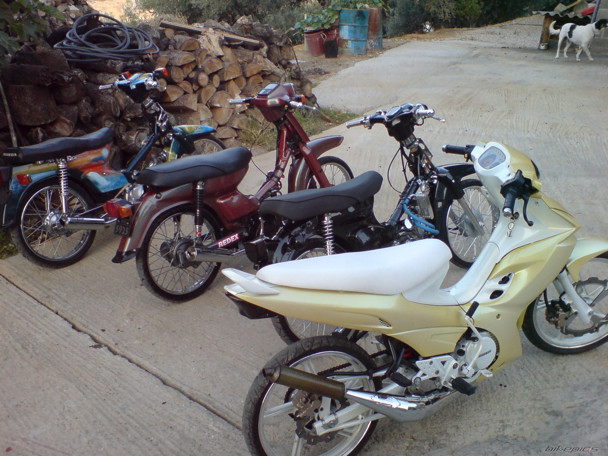 Photo 1404101