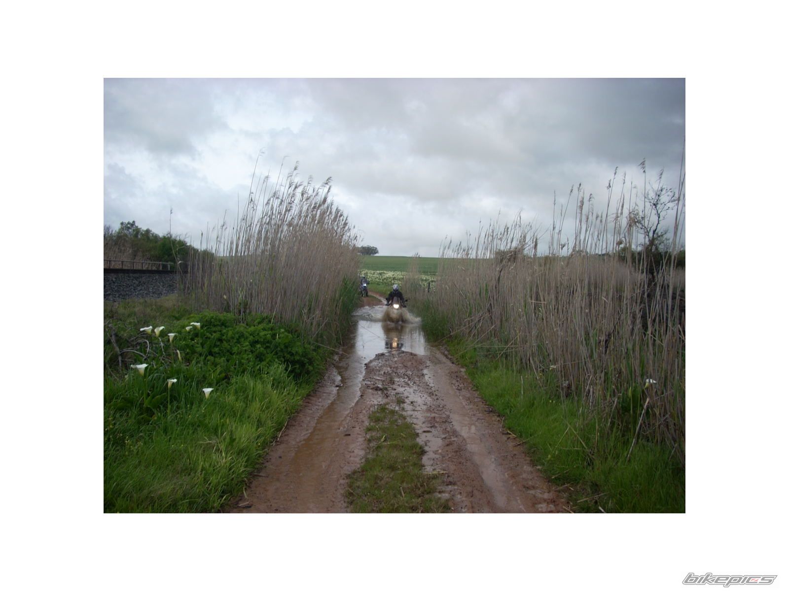 Photo 1404264