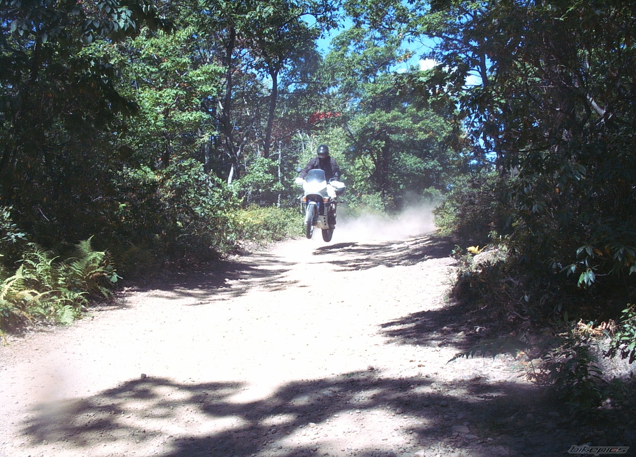 Photo 1404452