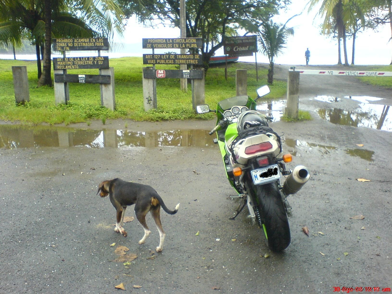 Photo 1404460