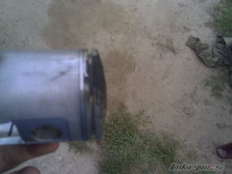 Photo 1404657