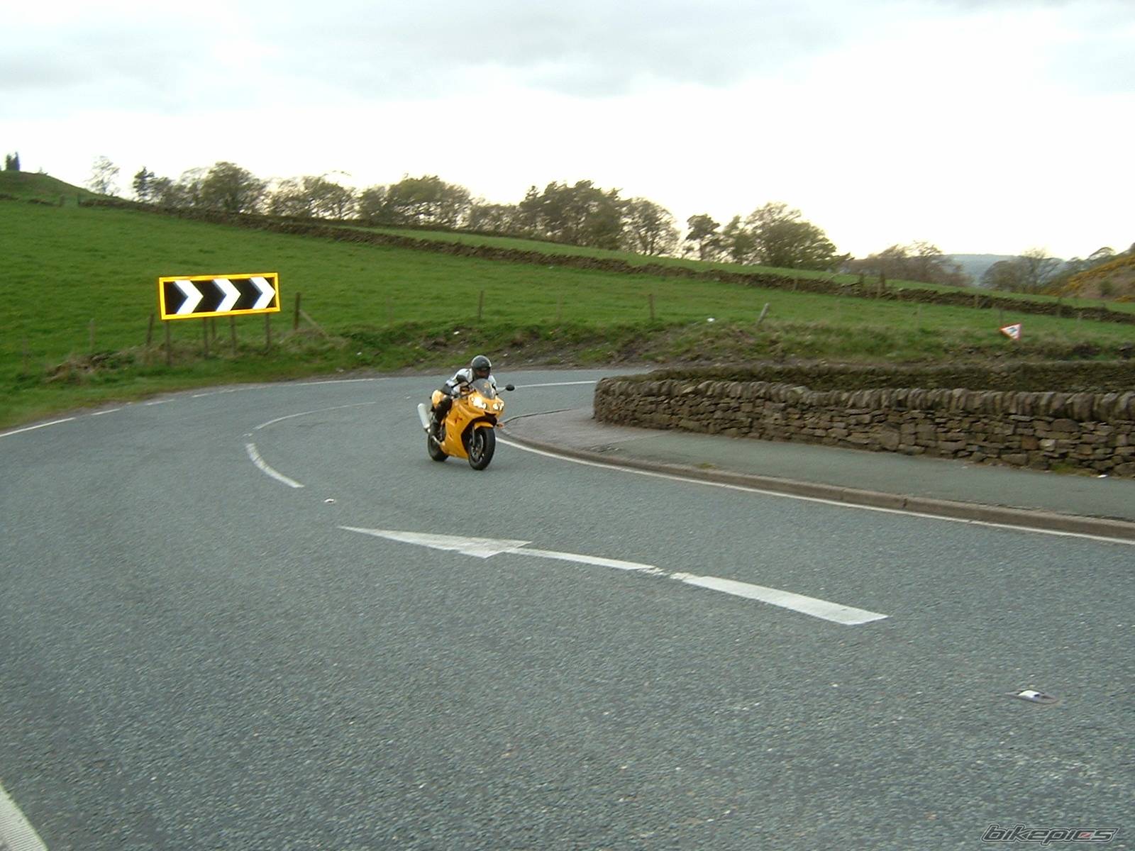 Photo 140476