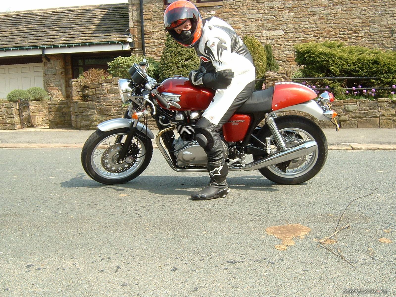 Photo 140482