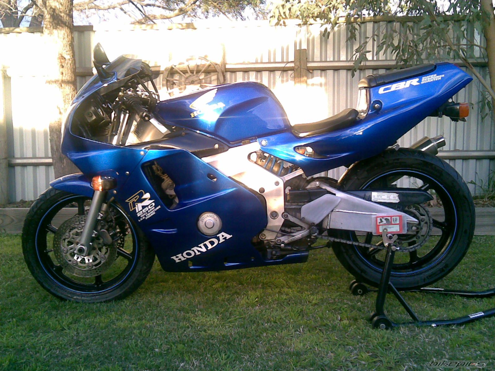 Photo 1404825
