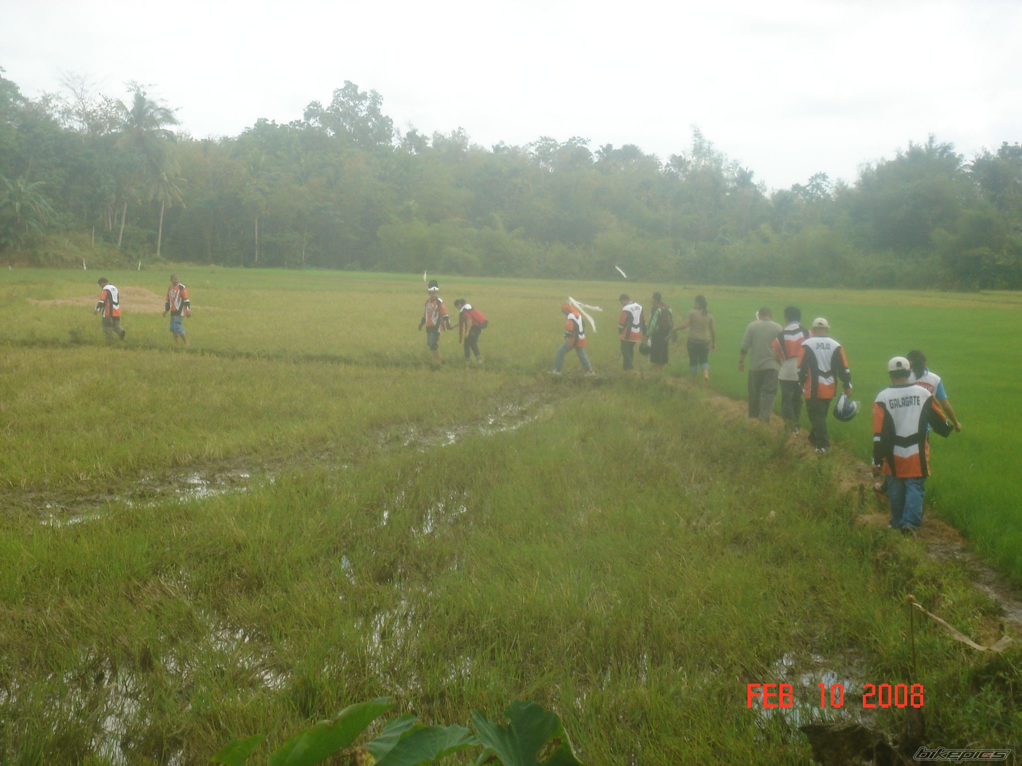 Photo 1404829