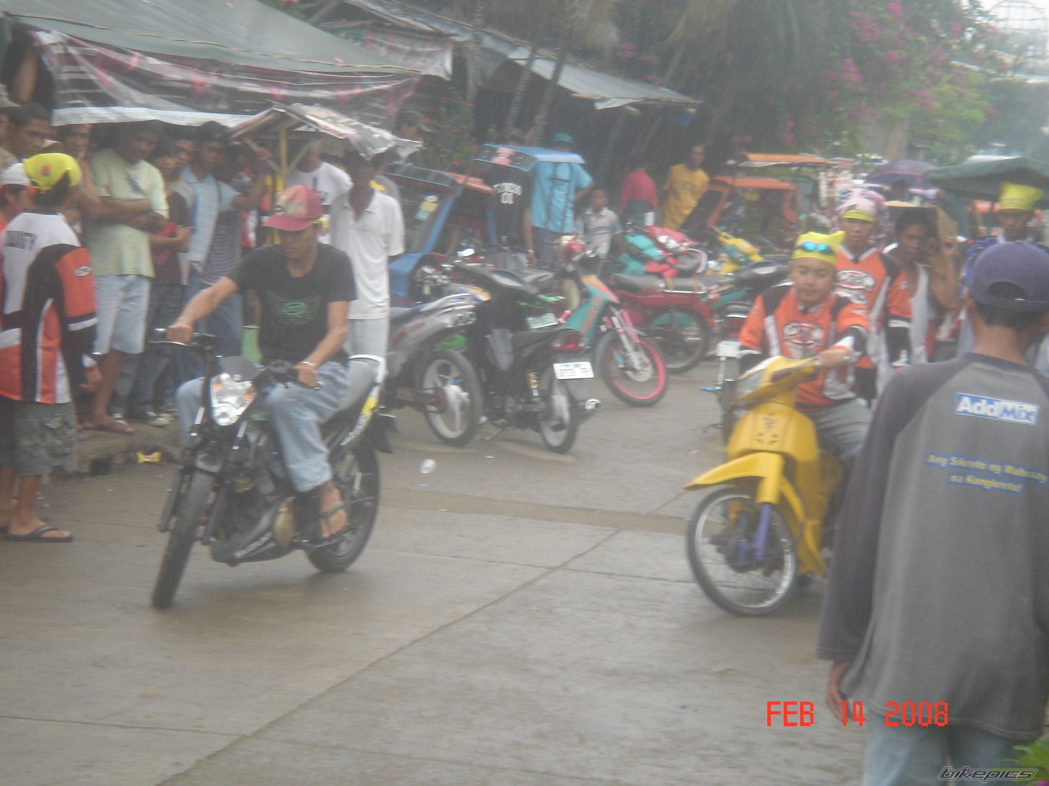 Photo 1404865
