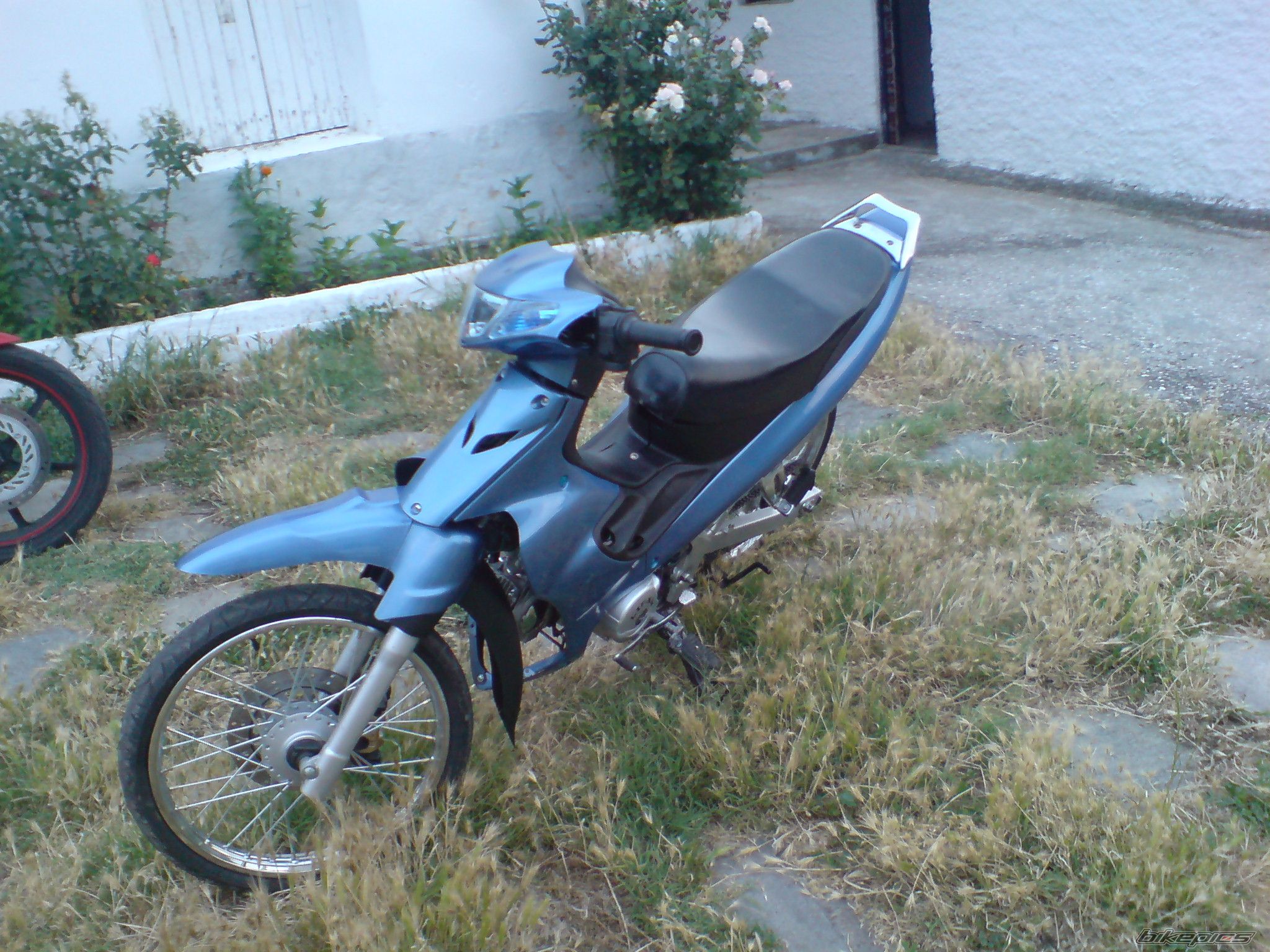 Photo 1404931