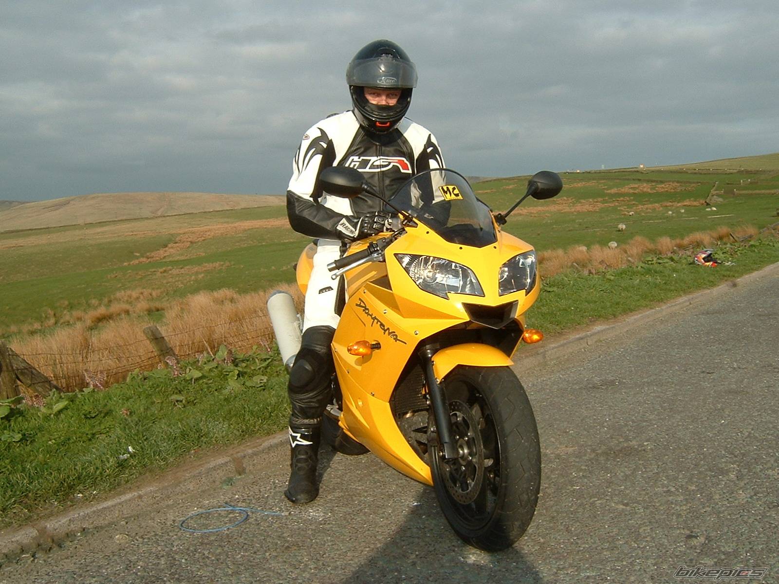 Photo 140495