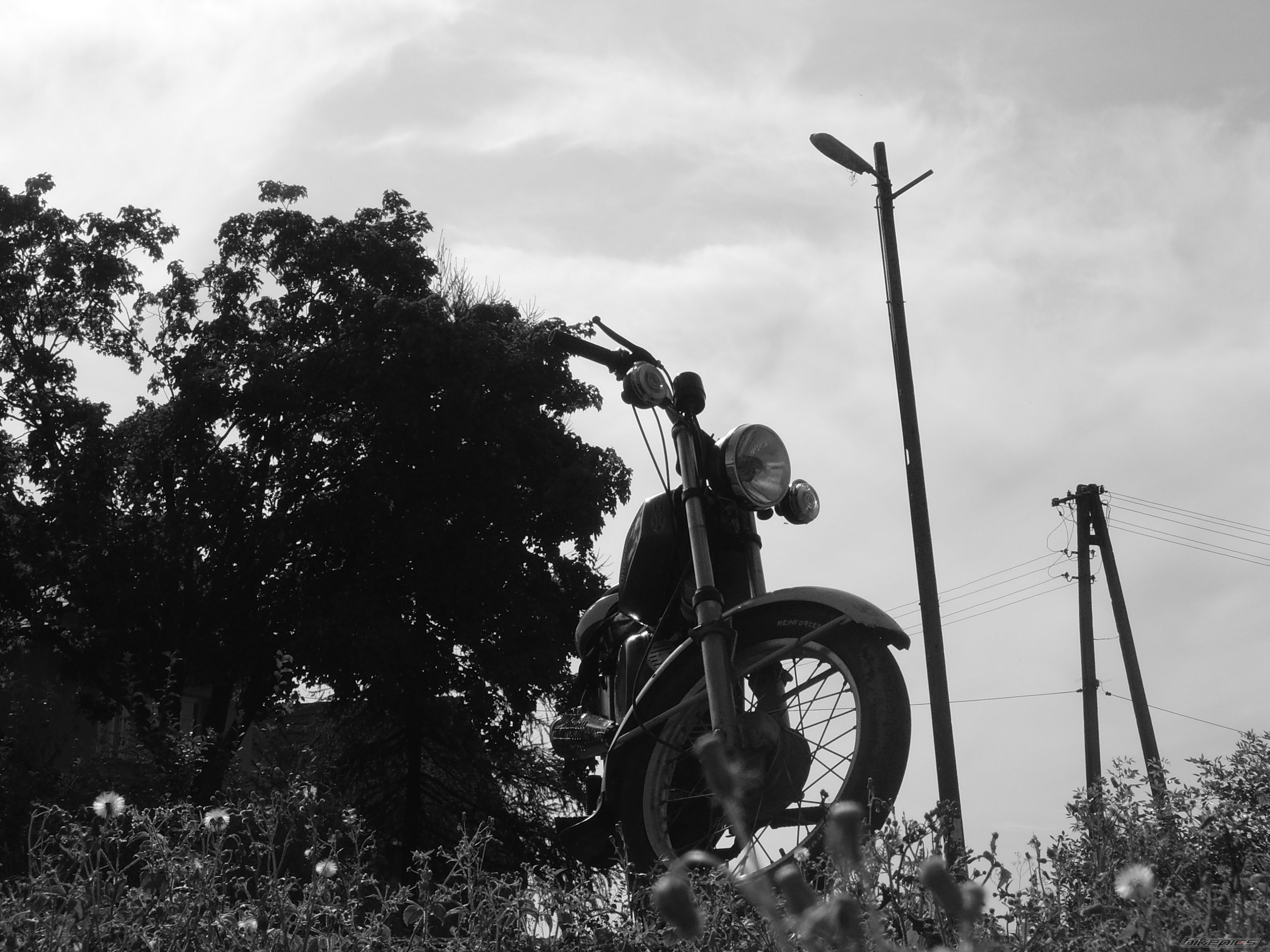 Photo 1404981
