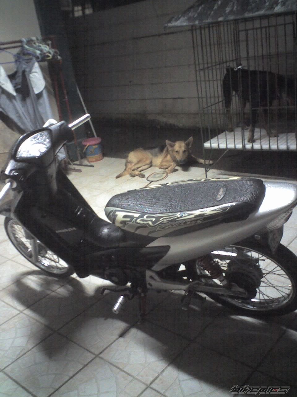 Bike Photo 1405061