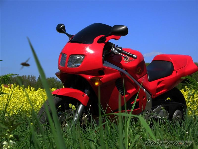 Photo 1405072