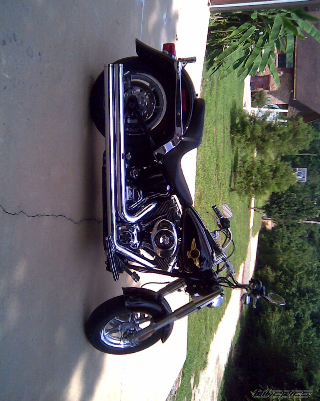 Photo 1405184
