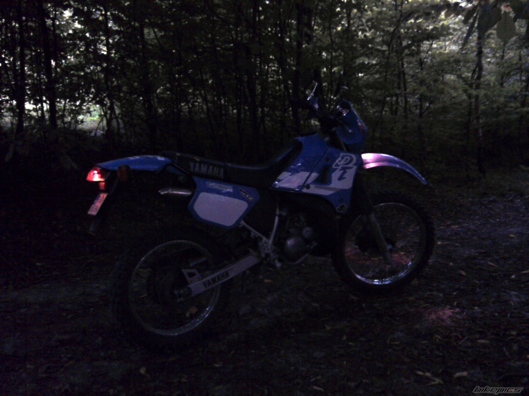 Photo 1405190