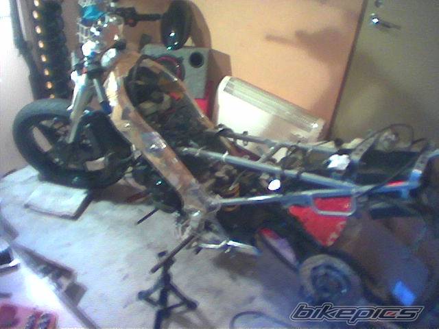 Photo 140535