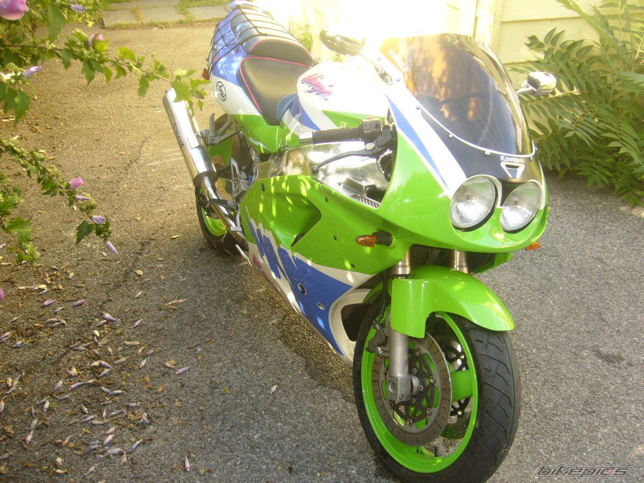 Photo 1405404