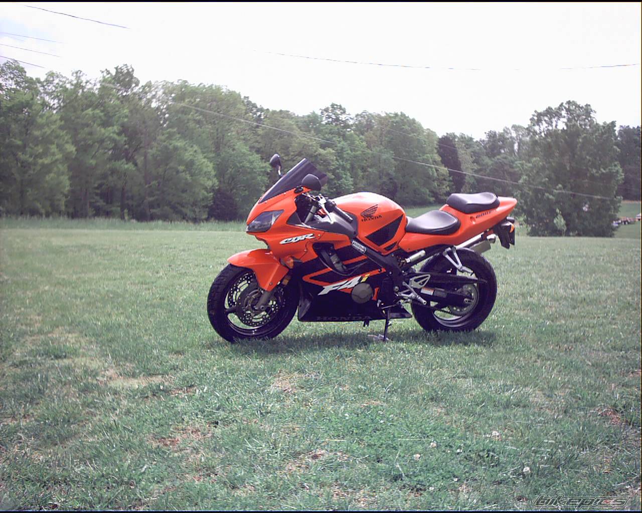Photo 140542