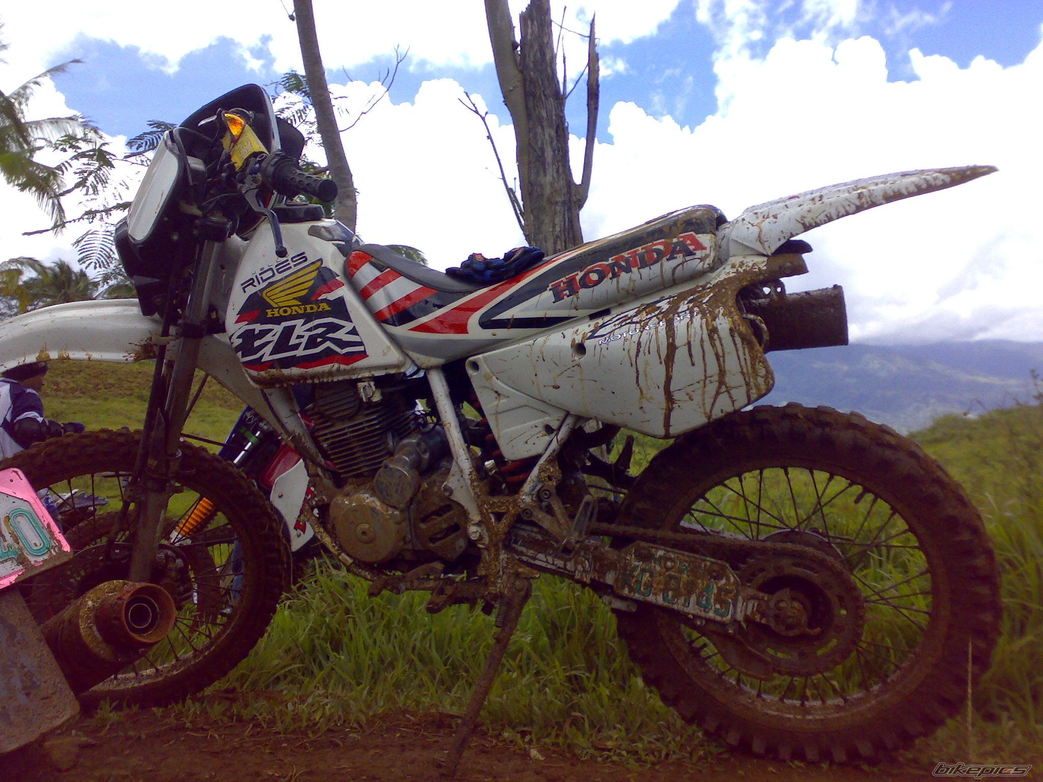 Bike Photo 1405438