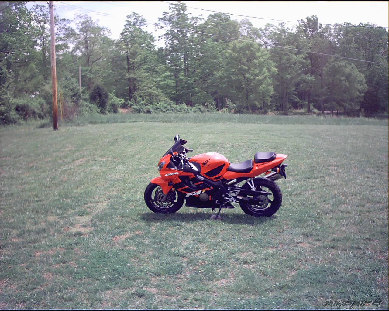 Photo 140544