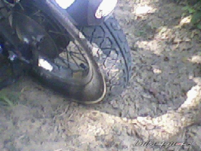 Photo 1405567