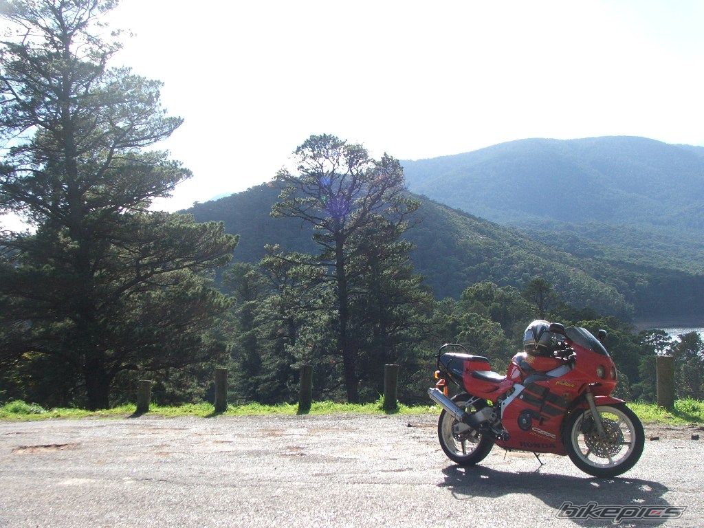 Photo 1405650