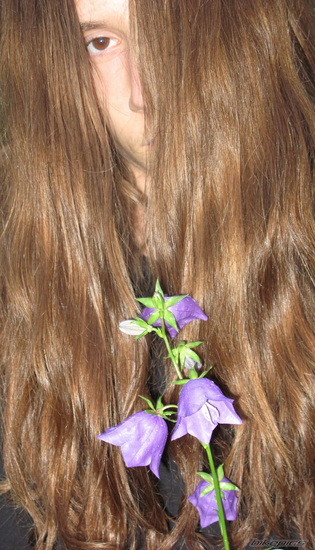 Photo 1405653
