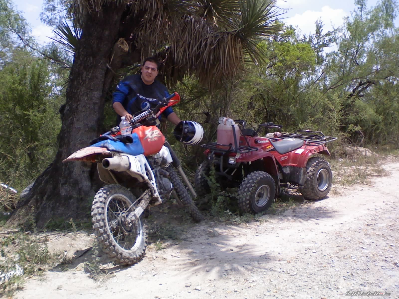Bike Photo 1405882